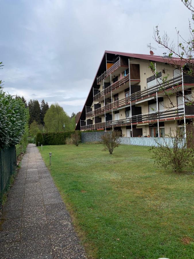 Ferienwohnung Lara Ludwigswinkel Bagian luar foto